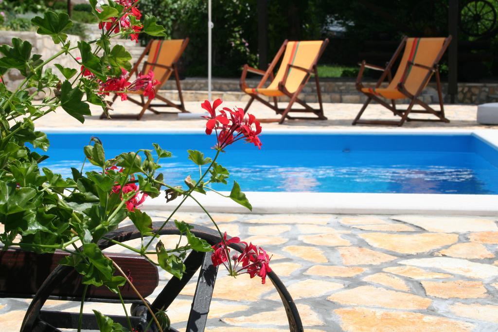 Apartments Petricic With Swimming Pool Ičići Zewnętrze zdjęcie