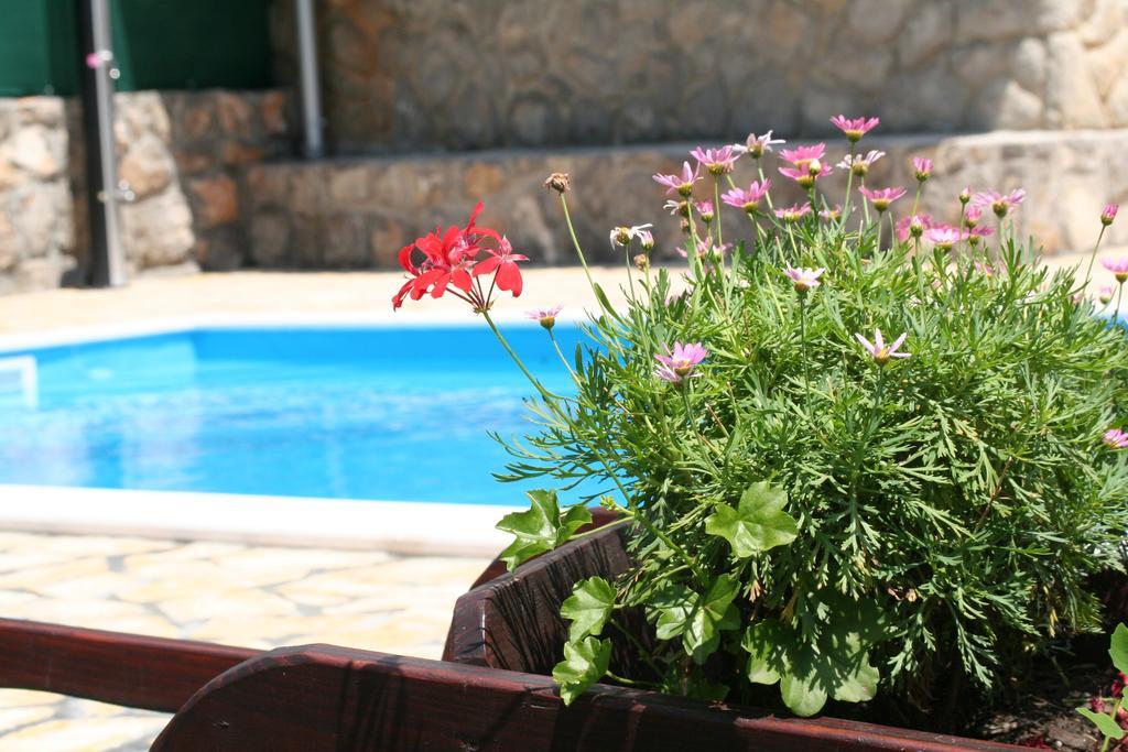 Apartments Petricic With Swimming Pool Ičići Zewnętrze zdjęcie